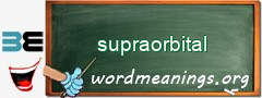 WordMeaning blackboard for supraorbital